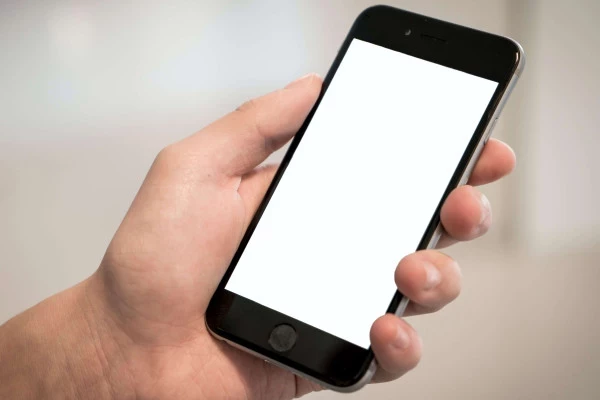 Person holding phone
